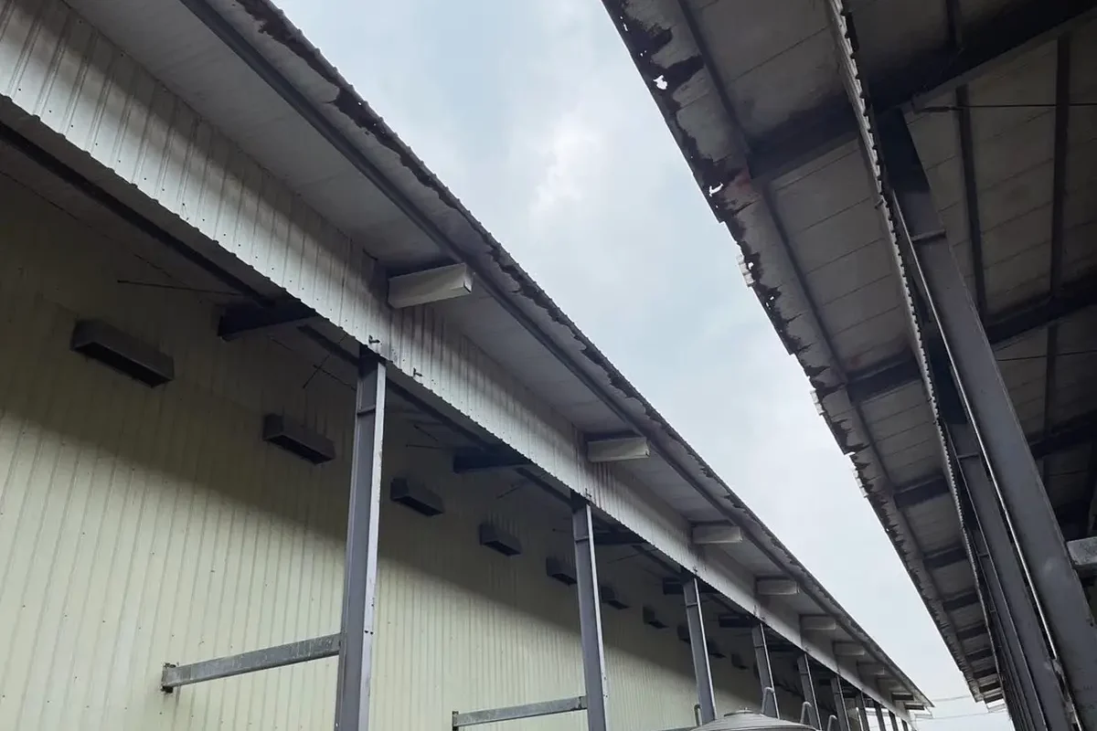 萬澄工程行-無塵室庫板空間規劃設計_portfolio_嘉義 畜牧場_02